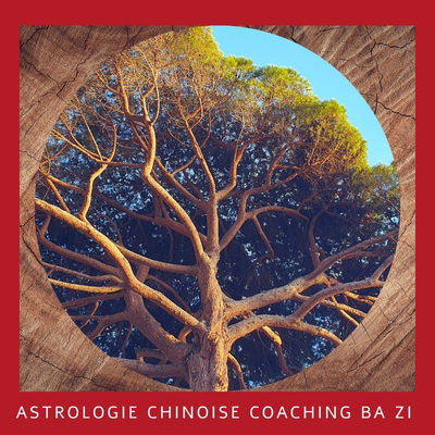Astrologie Chinoise, coaching Ba Zi : avoir conscience de ses forces vives
