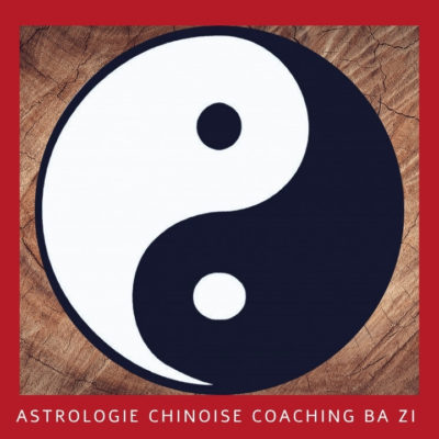 Astrologie Chinoise, coaching Ba Zi : avoir conscience de ses forces vives