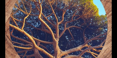 Astrologie Chinoise, coaching Ba Zi, par Marine Cathelin