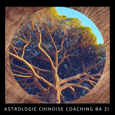 Astrologie Chinoise, coaching Ba Zi, par Marine Cathelin
